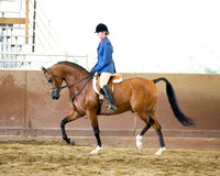 Class 24 - HA/AA Hunter Pl AAOTR 19-39