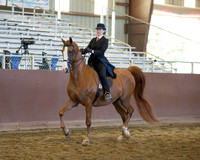 Class 17 Saddle Seat Equitation - JTR 18 Yrs & Under