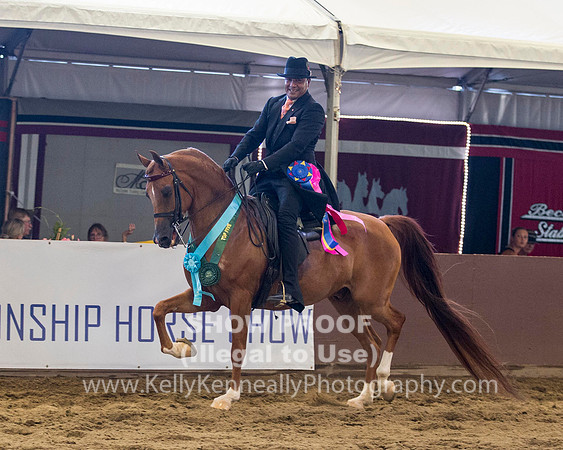 R316_WedPM_3364 copy