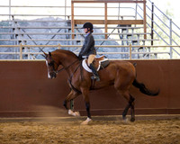 Class 133 AHA Hunter Seat Equitation Not to Jump Medal - JTR 18 Yrs/Under