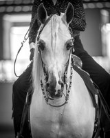RedBluff_2016_Fri_0010