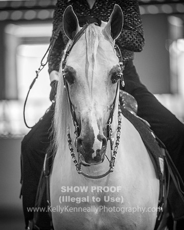 RedBluff_2016_Fri_0010