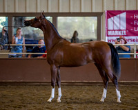 R316_ThursAM_5802 copy