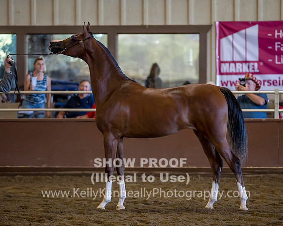 R316_ThursAM_5802 copy