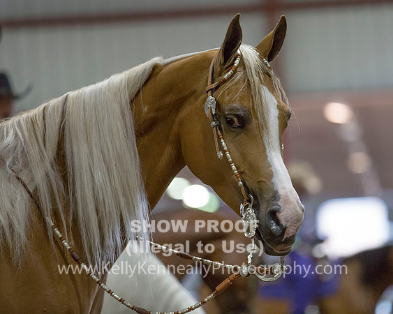 RedBluff_2016_Sat_1106