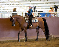 Class 113 A/HA/AA Walk-Jog Western Pleasure - Rider 10 & Under