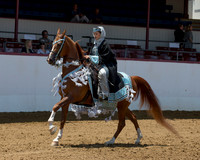 Class 312 HA Mounted Native Costume Championship