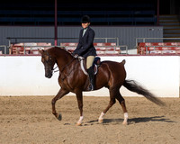 Class 123 HA Hunter Pl - JOTR 18 & Under