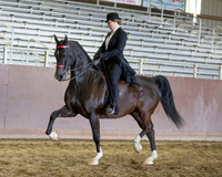 Class 43 - HA/AA Country English Pl Open