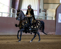 Class 156 Arabian Mounted Costume - ATR