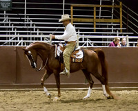 Class 312 Arabian Western Pleasure Championship