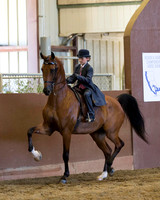 Class 228 A/HA/AA Walk-Trot Country English Pl - Riders 10 & Under