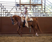 Class 54 Arabian Western Pleasure - JOTR 13 & Under
