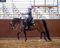 Class 57 Arabian Western Pleasure - AAOTR 55 & Over