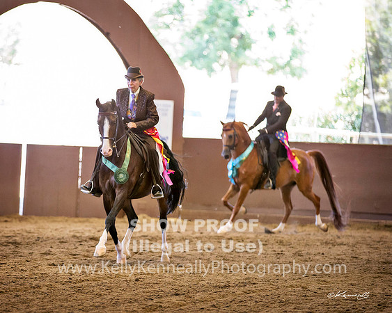 R316_WedPM_3358 copy