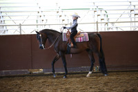 Class 281 A/HA/AA Walk-Jog Western Pleasure - AATR Choice/Elite
