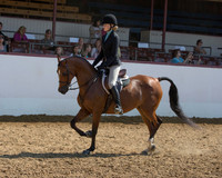 Class 289 HA Hunter Pl - JTR Select