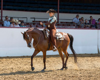 Class 43 Arabian Western Pl - Limit Horse