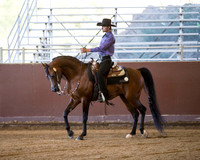 Class 68 Arabian Western Pleasure - Gentlemen to Ride