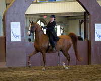 Class 18 AHA Saddle Seat Equitation Medal - JTR 18 & Under