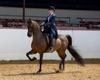 Class 272 HA Country English Pl - JTR Select