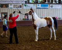 R316_ThursAM_5795 copy