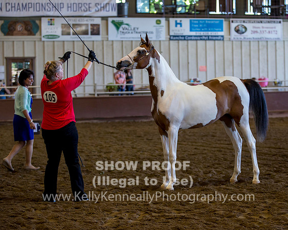 R316_ThursAM_5795 copy