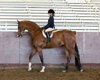 Class 96 - A/HA/AA Walk/Trot Hunt/Saddle Seat Equitation Riders 10 & Under