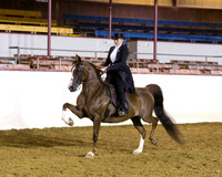 Class 297 HA Park Horse