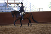 Class 392 Arabian Hunter Pl - AATR Primetime