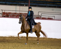 Class 132 Arabian Country English Pl - Limit Horse