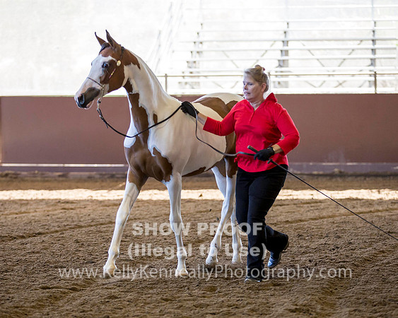 R316_ThursAM_5772 copy