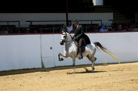 Class 74 HA English Pl - Jr Horse 5 & Under