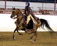 Class 294 Arabian Mounted Native Costume - ATR