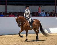Class 76 HA Hunter Pl - JTR Choice/Elite
