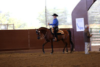 Class 45 Arabian Western Pleasure - JOTR 14-18 Yrs.