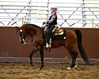 Class 332 Arabian Western Pleasure - AATR Primetime 60 Yrs & Over