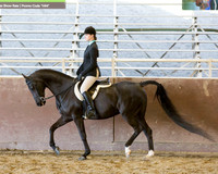 Class 82 - HA/AA Hunter Pl Championship