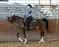 Class 121 - Arabian Western Pl Championship JTR