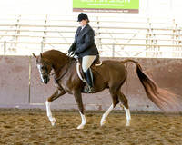 Class 49 - Arabian Hunter Pl AAOTR 19-39