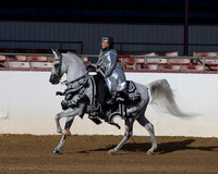 Class 254 HA Mounted Costume - ATR