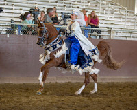 Class 306 Arabian Mounted Costume - ATR