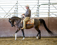 Class 61 - Arabian Western Pl Jr Horse