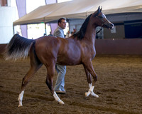R316_ThursAM_5792 copy