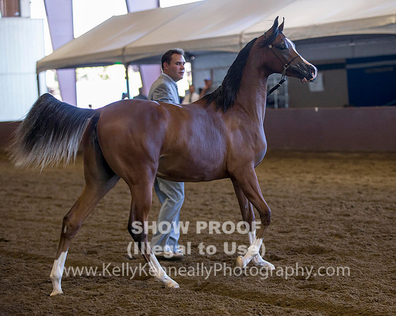 R316_ThursAM_5792 copy
