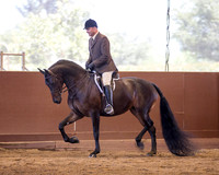 Class 115 HA Hunter Pleasure - Jr Horse 5 & Under