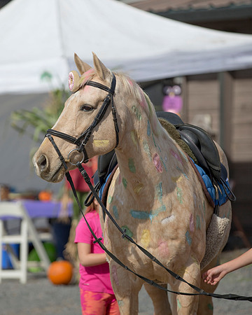 2016_HalloweenOpenShow_103
