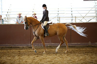 Class 285 HA Hunter Pleasure - JTR Select