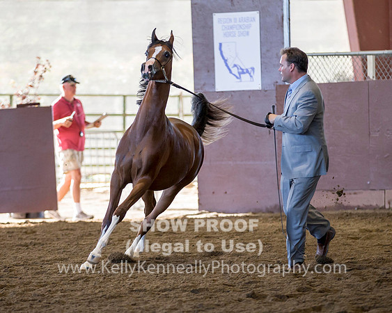 R316_ThursAM_5783 copy