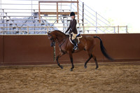 Class 298 HA Hunter Pleasure - JTR Choice/Elite